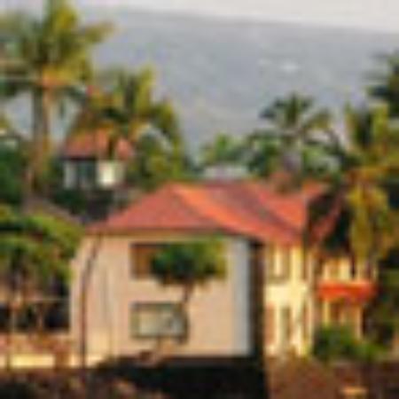 Knockout Pizza N Wingz